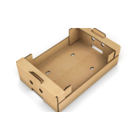 Cardboard Trays For Fruits Cans Drinks